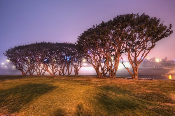 Paisaje americano con puesta de sol y árboles