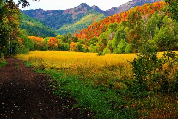 In America, there are very beautiful landscapes of nature, especially autumn