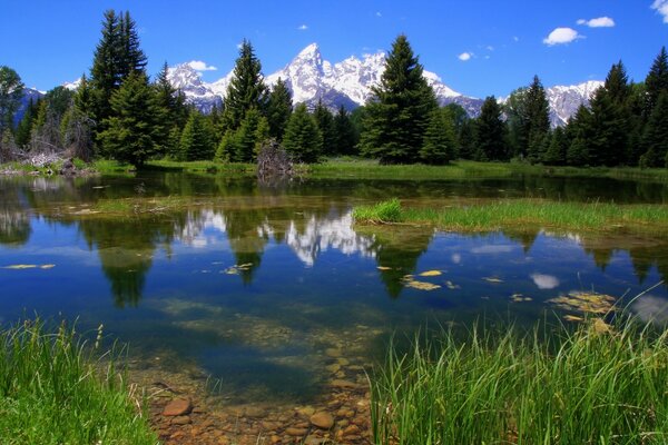 Landscape forest lake and mountains