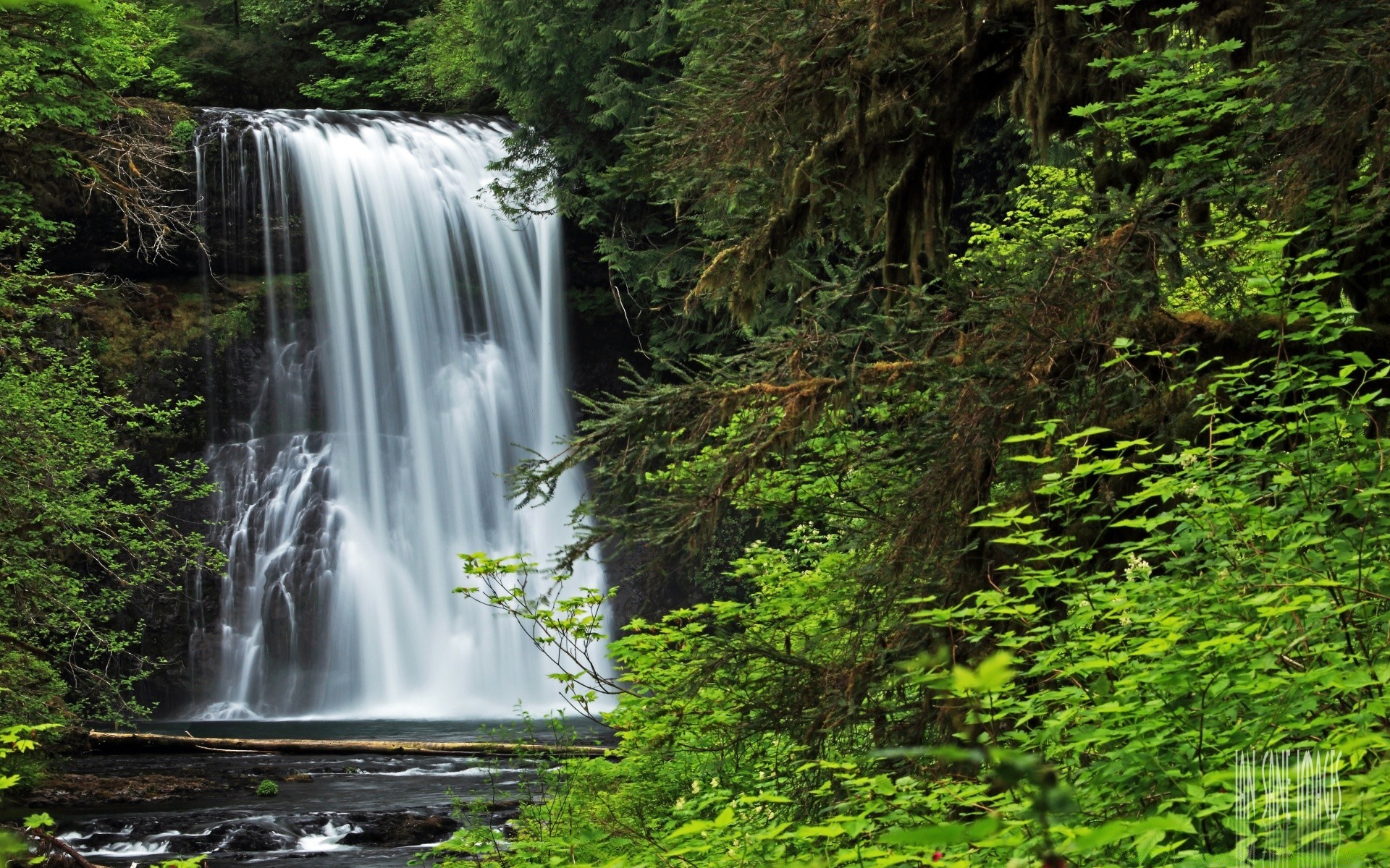 amerika wasserfall wasser natur fluss holz fluss im freien blatt kaskade reisen nass landschaft rock fluss herbst baum moos wild sommer