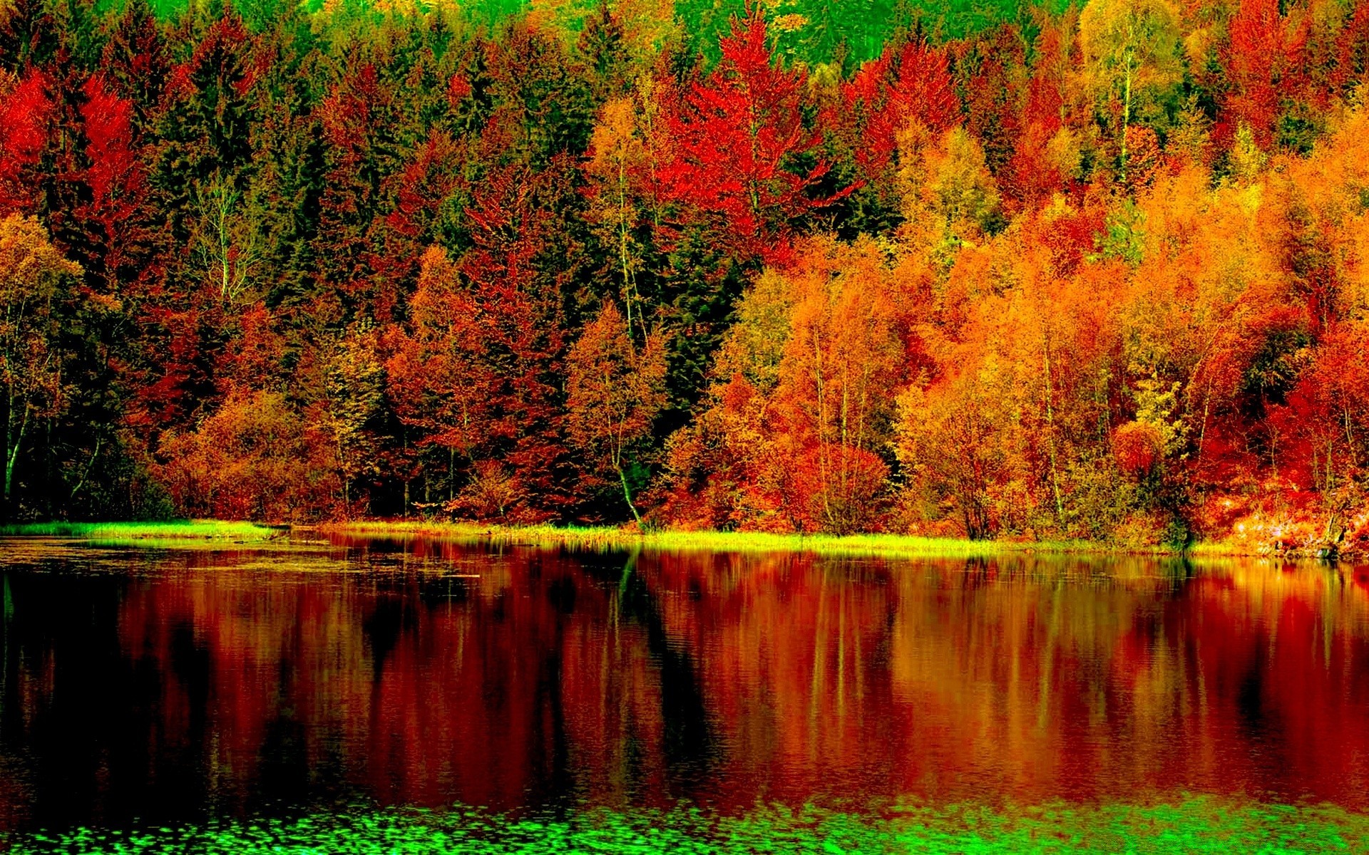 amérique automne arbre bois nature feuille paysage lac scénique eau à l extérieur saison rivière parc paysage couleur sauvage