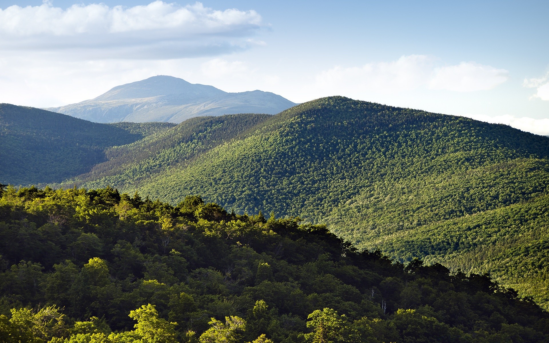 america paesaggio montagna viaggi legno natura all aperto albero collina cielo terra coltivata valle scenico luce del giorno