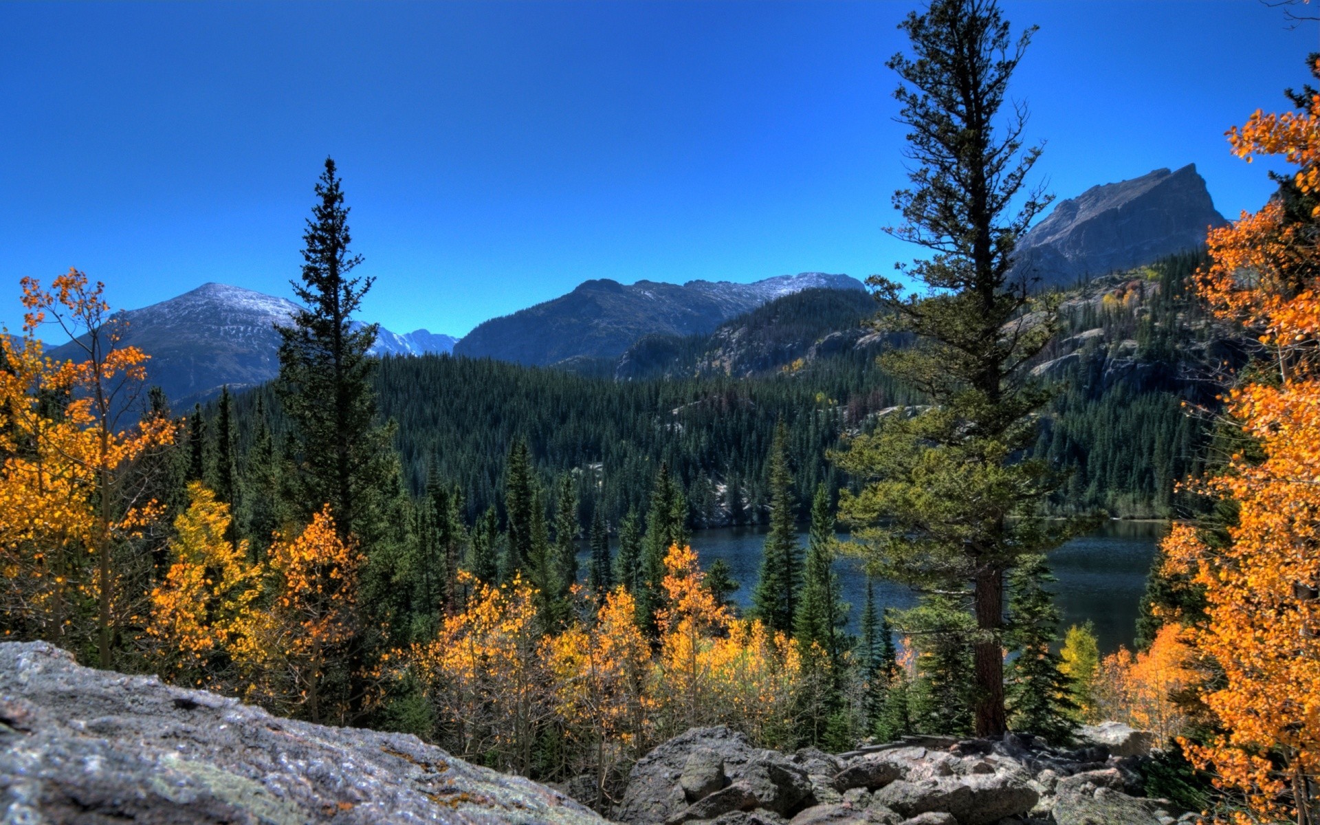 amérique automne bois à l extérieur la nature montagnes bois scénique paysage feuille sauvage voyage conifères lumière du jour evergreen neige ciel saison randonnée parc