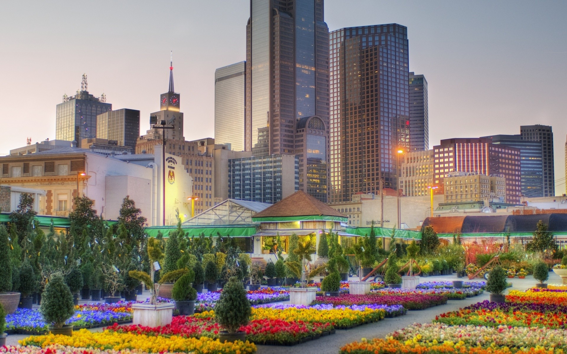 amerika architektur stadt haus stadt reisen modern stadtzentrum wolkenkratzer himmel skyline im freien städtisch tageslicht büro hotel geschäft