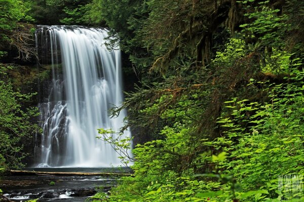 La belleza mágica de una cascada en el bosque más a menudo