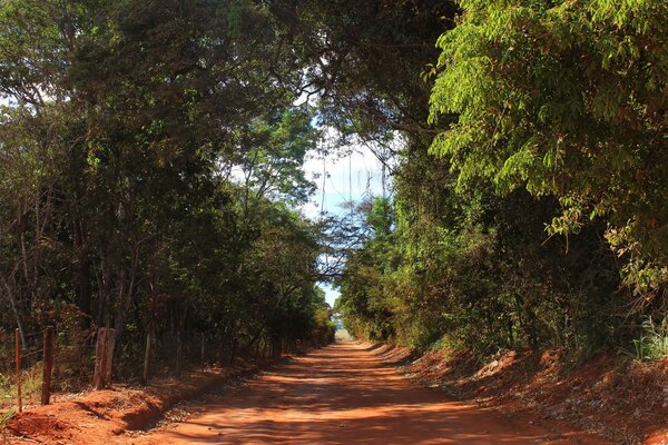 O longo caminho que leva à aventura