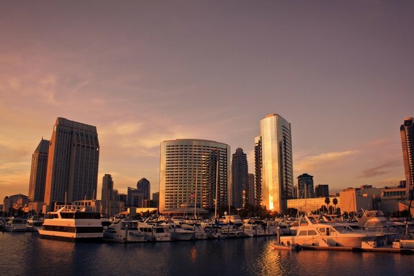 City buildings at dawn