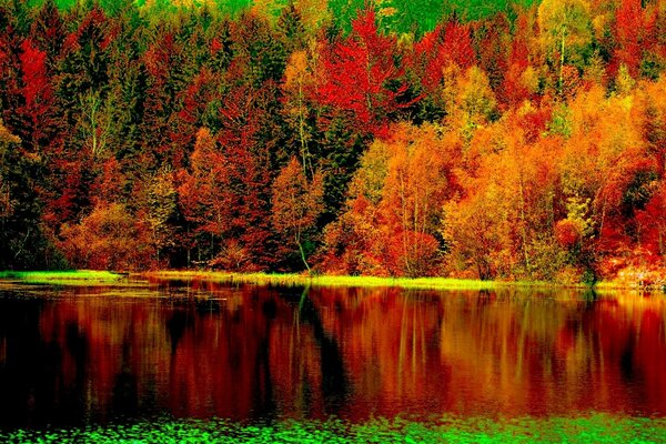 Ein purpurroter Herbstwald, der sich in den Gewässern des Flusses widerspiegelt