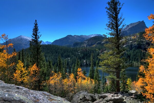 L autunno arriva gradualmente nella foresta