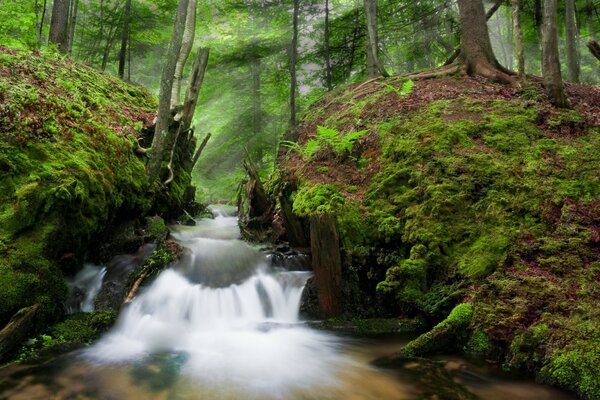 Ein schneller Fluss mit steilen Stromschnellen