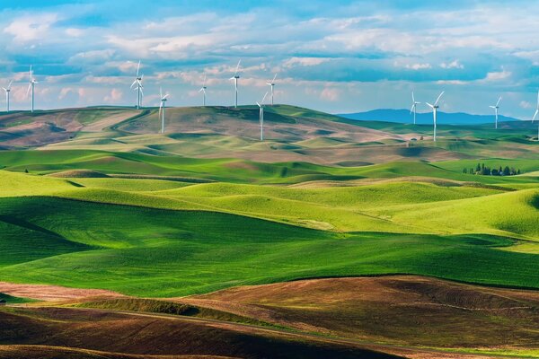 Schöne Landschaft mit Windmühlen