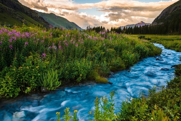 Blauer Bach inmitten der Berge