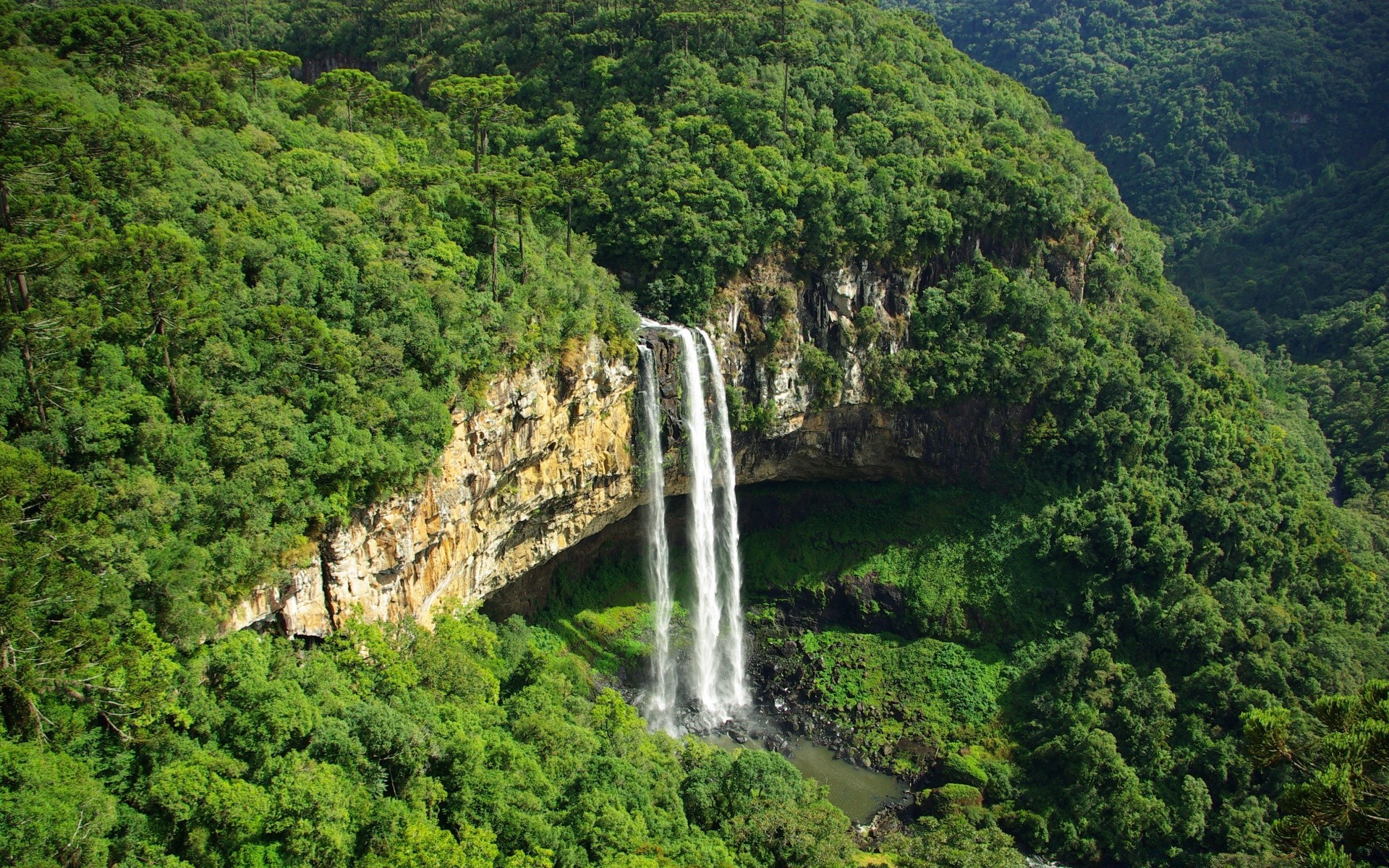 amerika wasser berg fluss landschaft reisen natur holz holz landschaftlich rock wasserfall hügel tal tourismus regenwald im freien