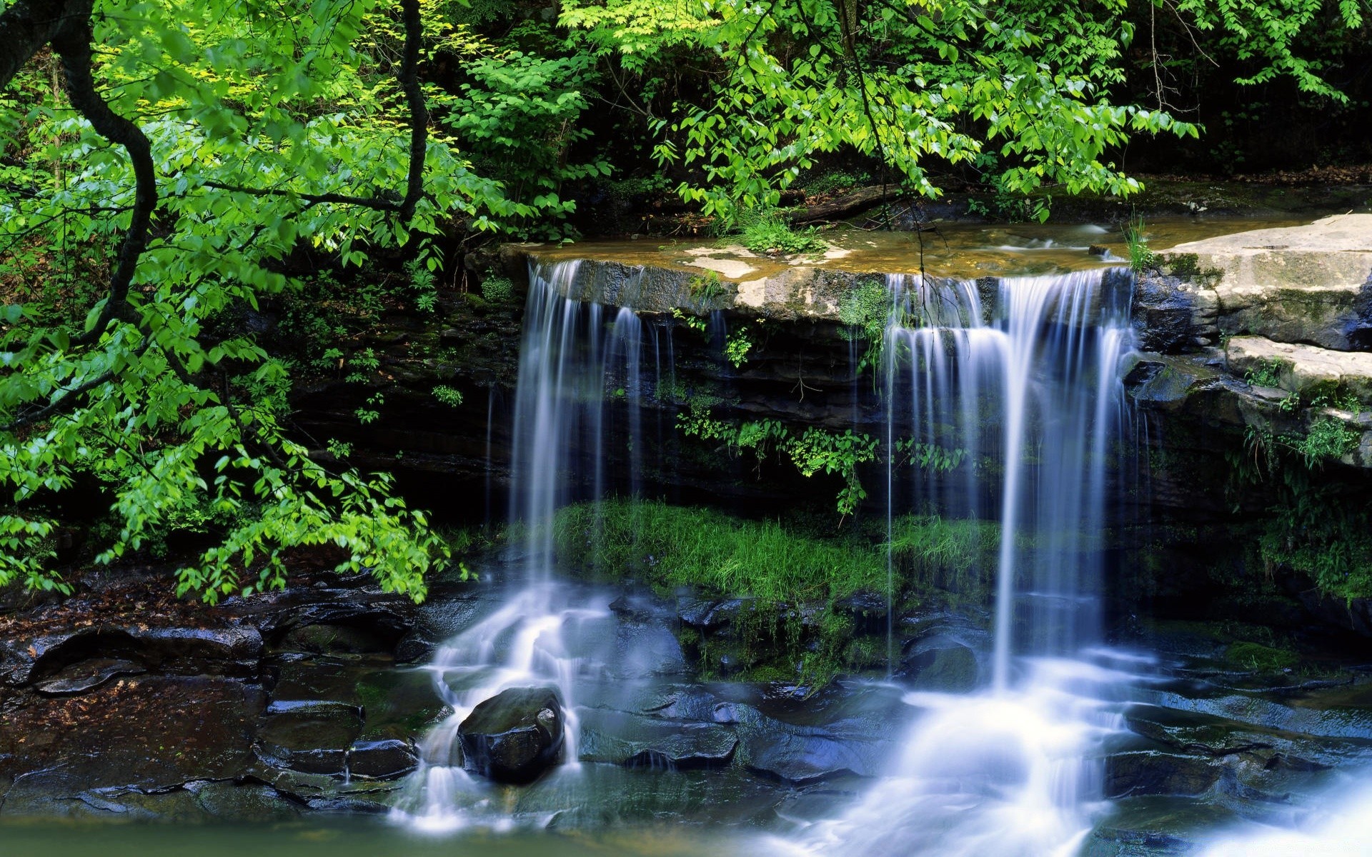 ameryka wody wodospad rzeka strumień natura kaskada drewno mokry liść creek jesień ruch na zewnątrz rock mech dziki strumień czystość rapids