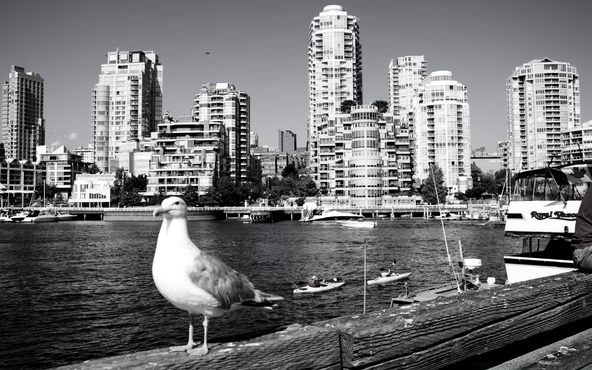 américa ciudad rascacielos ciudad skyline arquitectura puerto viajes centro de la ciudad agua casa urbano oficina río moderno paseo marítimo cielo muelle puente sistema de transporte negocio