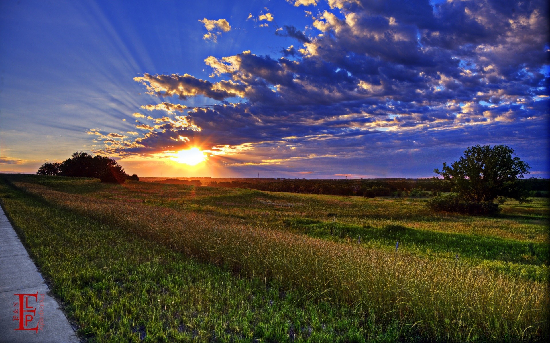 america landscape sunset sun sky nature rural field grass dawn fair weather countryside outdoors agriculture summer hayfield tree horizon farm pasture