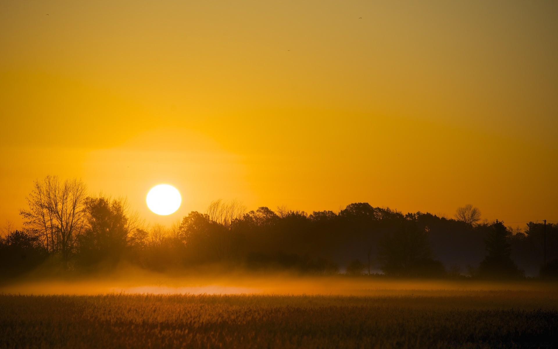 amérique coucher du soleil aube soleil soir paysage rétro-éclairé brouillard crépuscule silhouette ciel lumière arbre nature beau temps brouillard automne à l extérieur