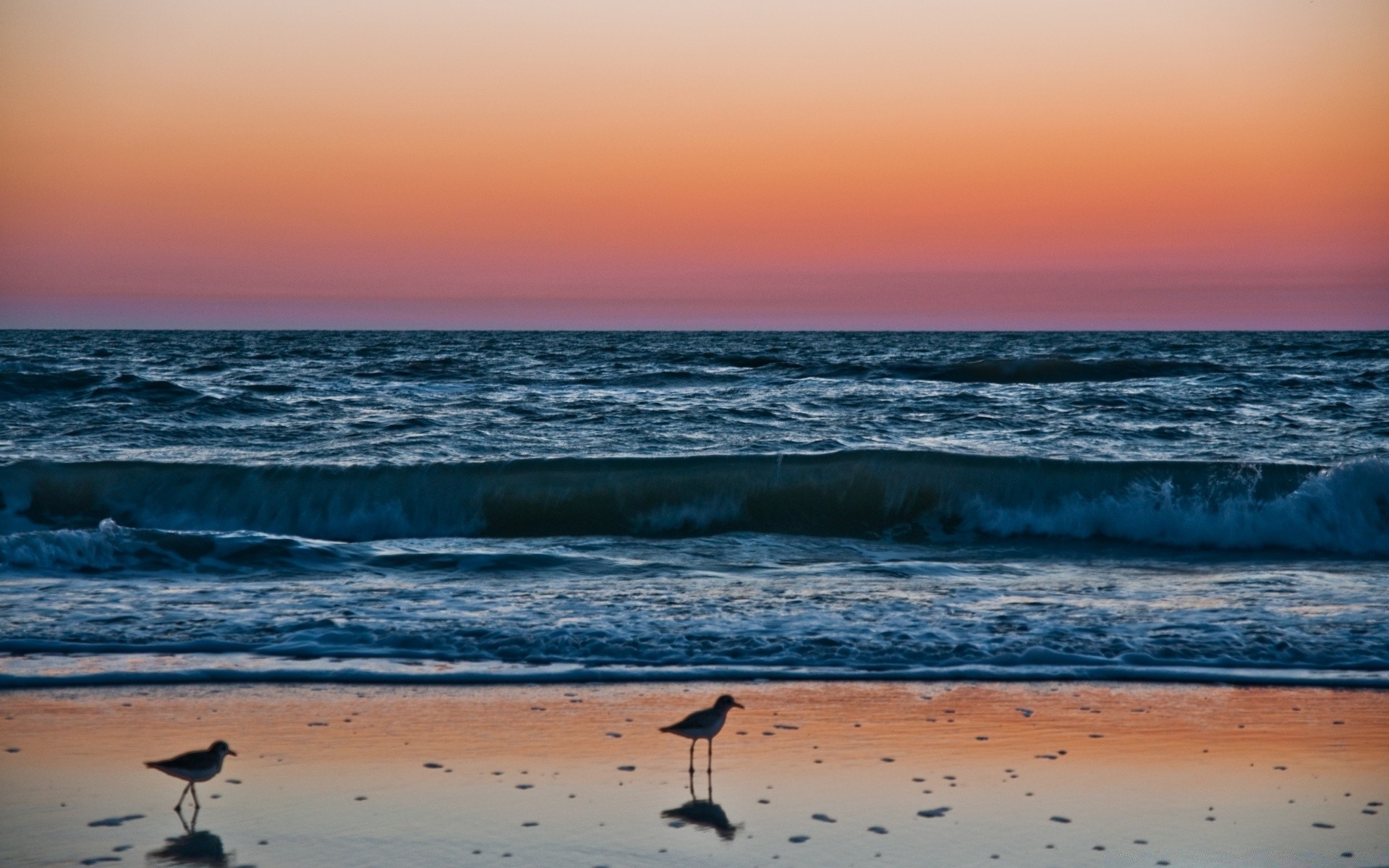 amerika sonnenuntergang wasser meer strand dämmerung ozean dämmerung sonne landschaft brandung himmel meer abend sand reisen welle