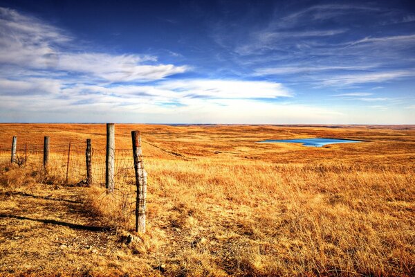 Beautiful landscape field and blue sky