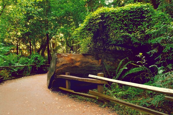 Amerikanischer Park, ein Ort zum Wandern