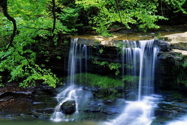 A small waterfall among the trees