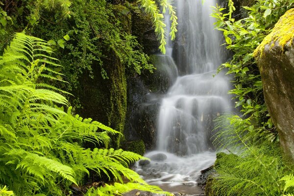 A beautiful waterfall in America in the middle of grass and greenery