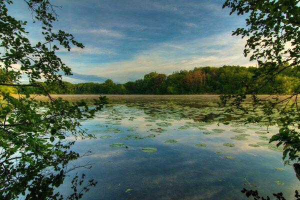 Landschaft des amerikanischen Sees im Grünen