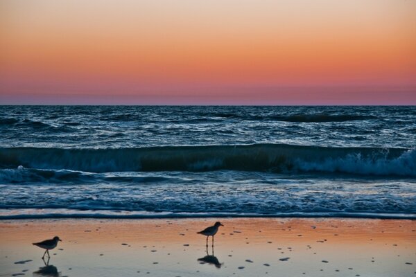 Mar azul. Cielo rojo