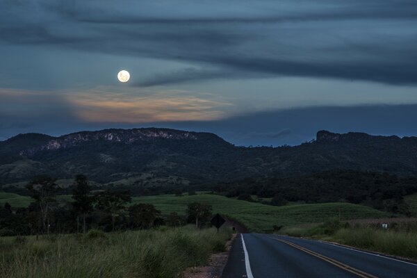 Vue nocturne de la nature, nuit de lune