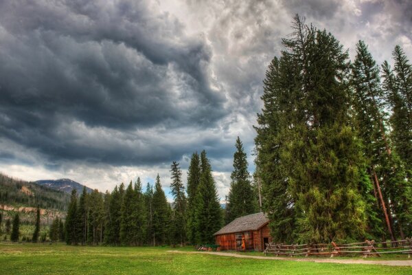 A small wooden house in a large clearing