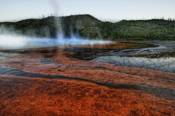 Ein Geysir am Rande der Wildnis