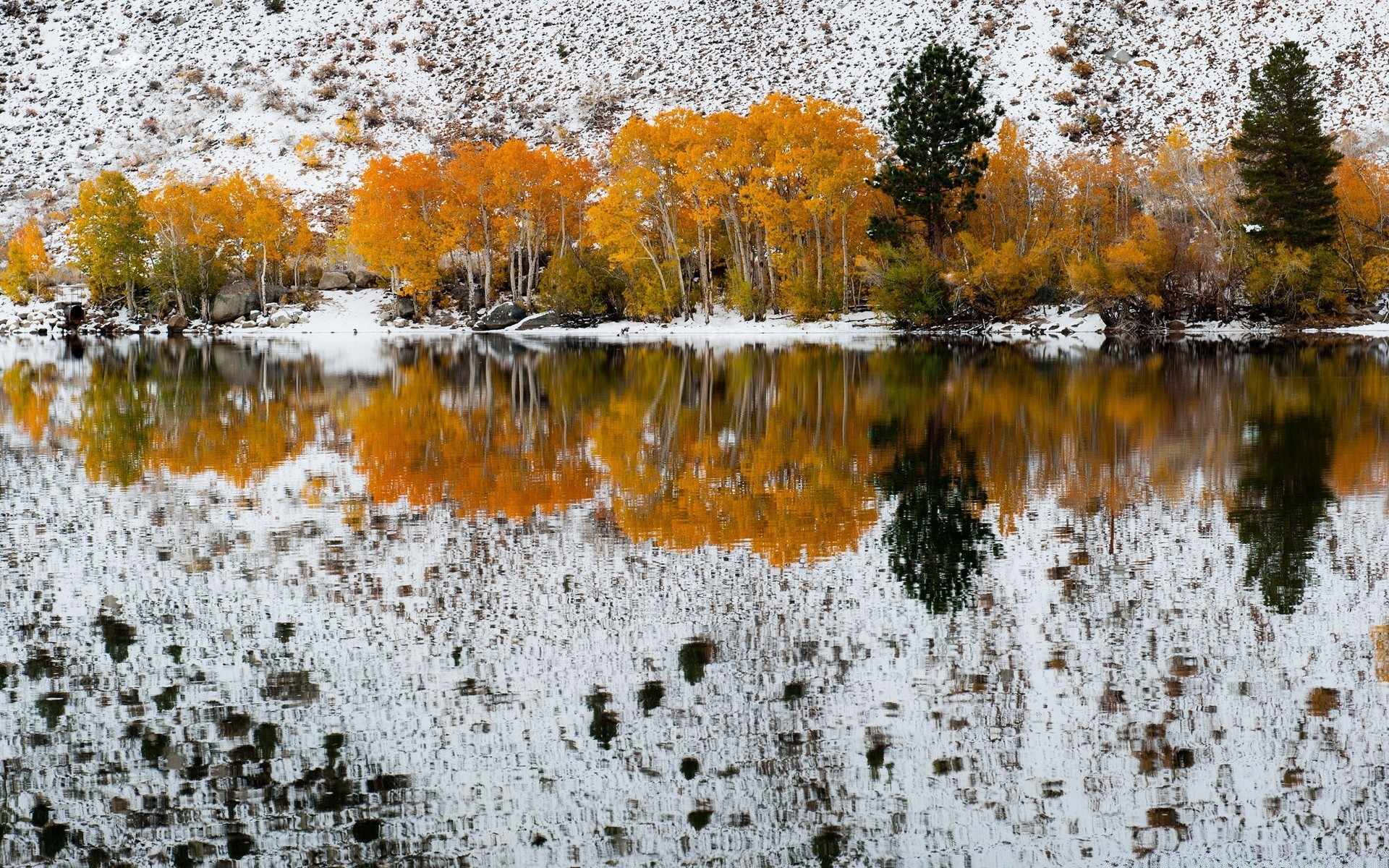 américa otoño naturaleza temporada reflexión hoja color agua paisaje escritorio madera árbol brillante parque