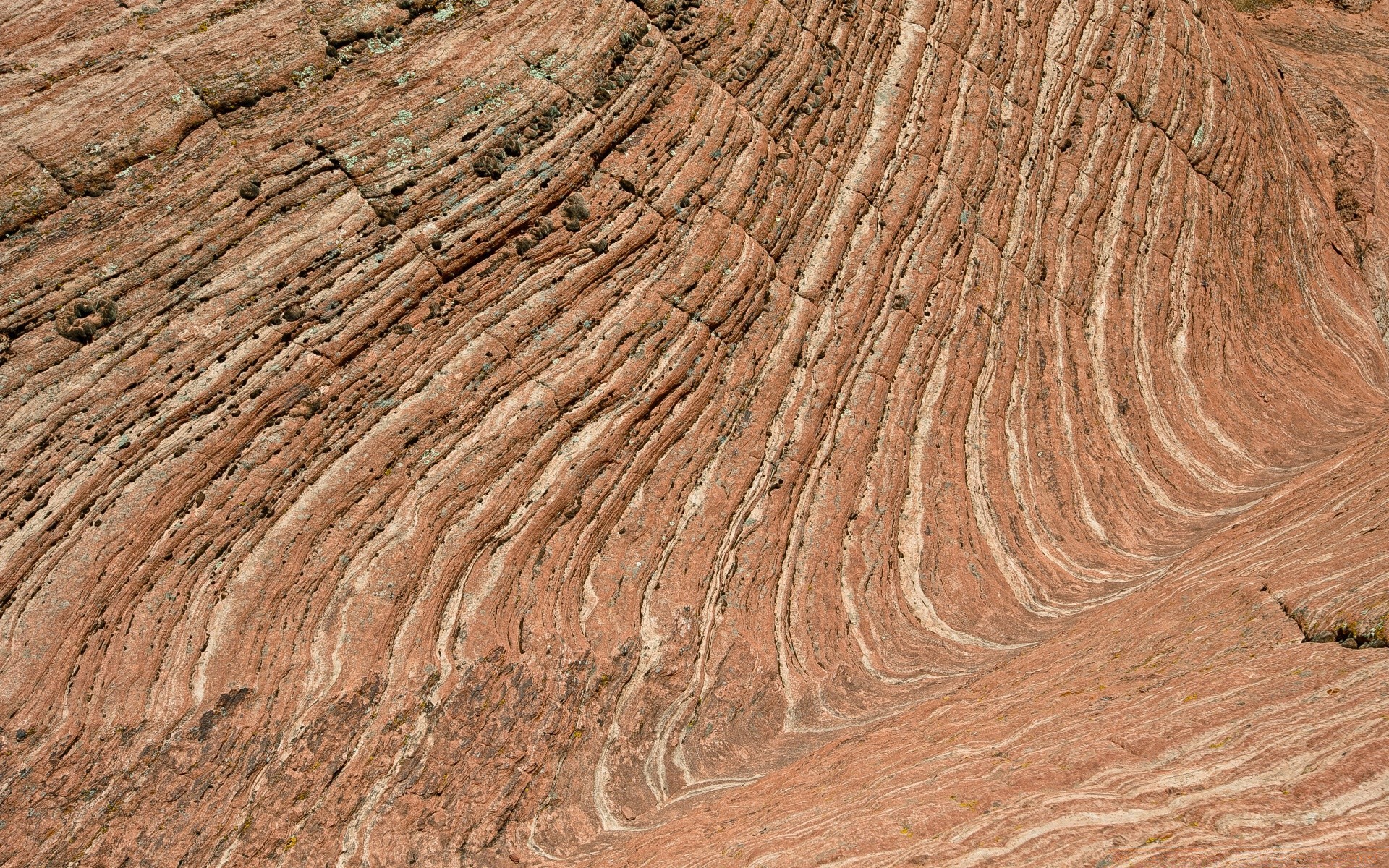 amérique modè le texture bureau rock nature résumé sol pierre tissu rugueux mur surface sec dur géologie gros plan journal grès bois