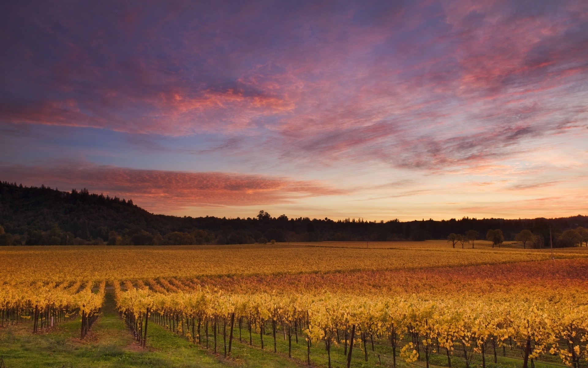 america tramonto alba all aperto paesaggio terra coltivata natura sera autunno campagna cielo crepuscolo erba albero agricoltura sole