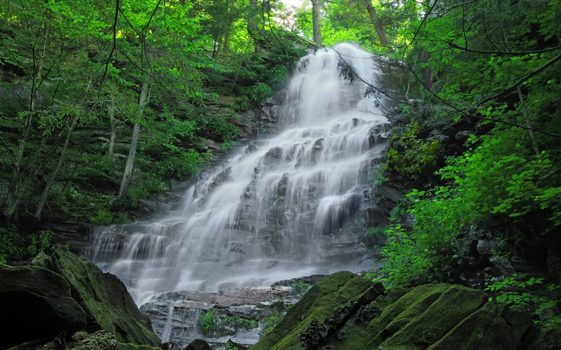 amérique cascade eau bois rivière nature paysage rock ruisseau montagne voyage cascade mouvement à l extérieur feuille sauvage arbre forêt tropicale automne ruisseau