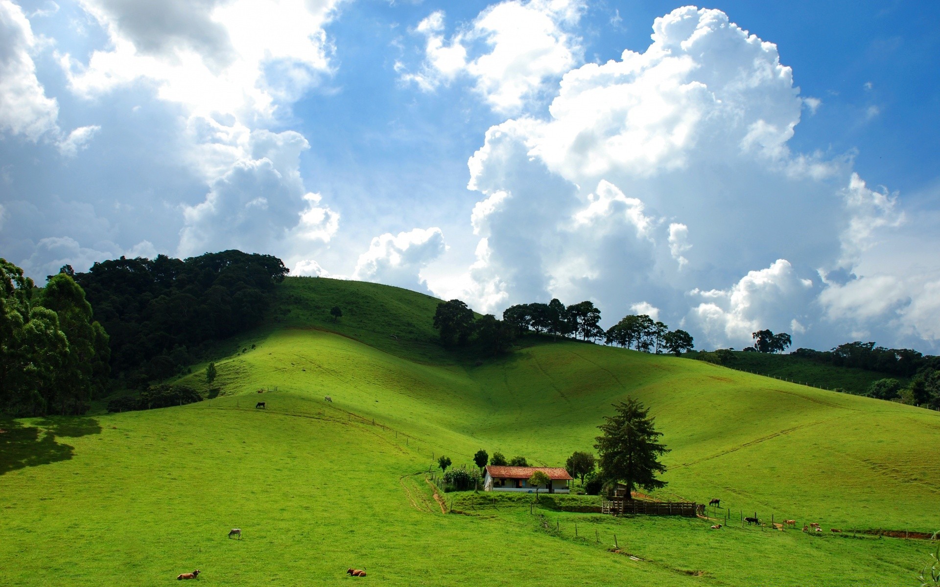 amérique nature paysage herbe à l extérieur été arbre rural ciel campagne pâturage voyage agriculture colline beau temps