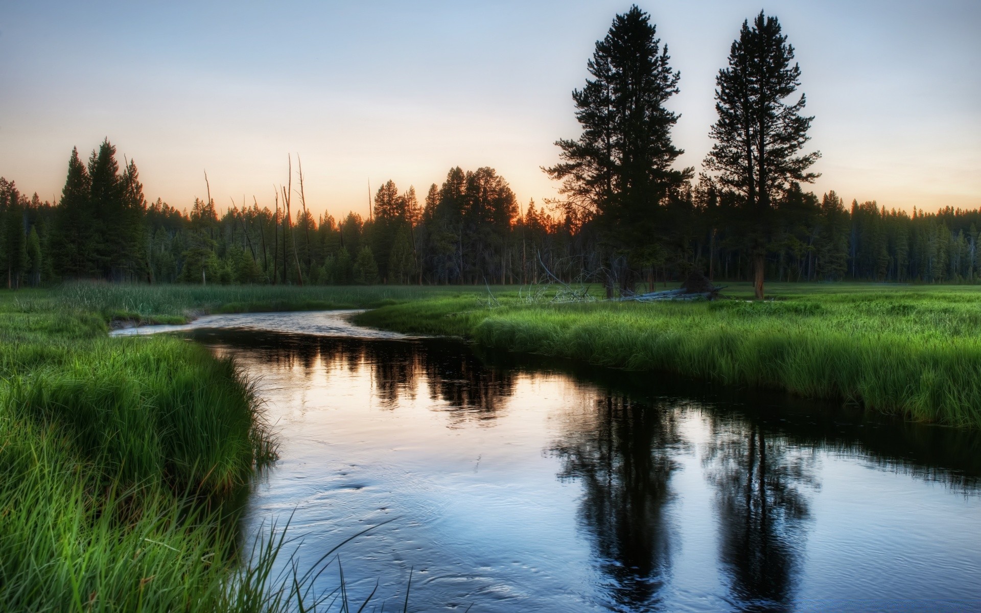 ameryka jezioro odbicie woda krajobraz rzeka natura drzewo na zewnątrz niebo basen drewno świt plesid