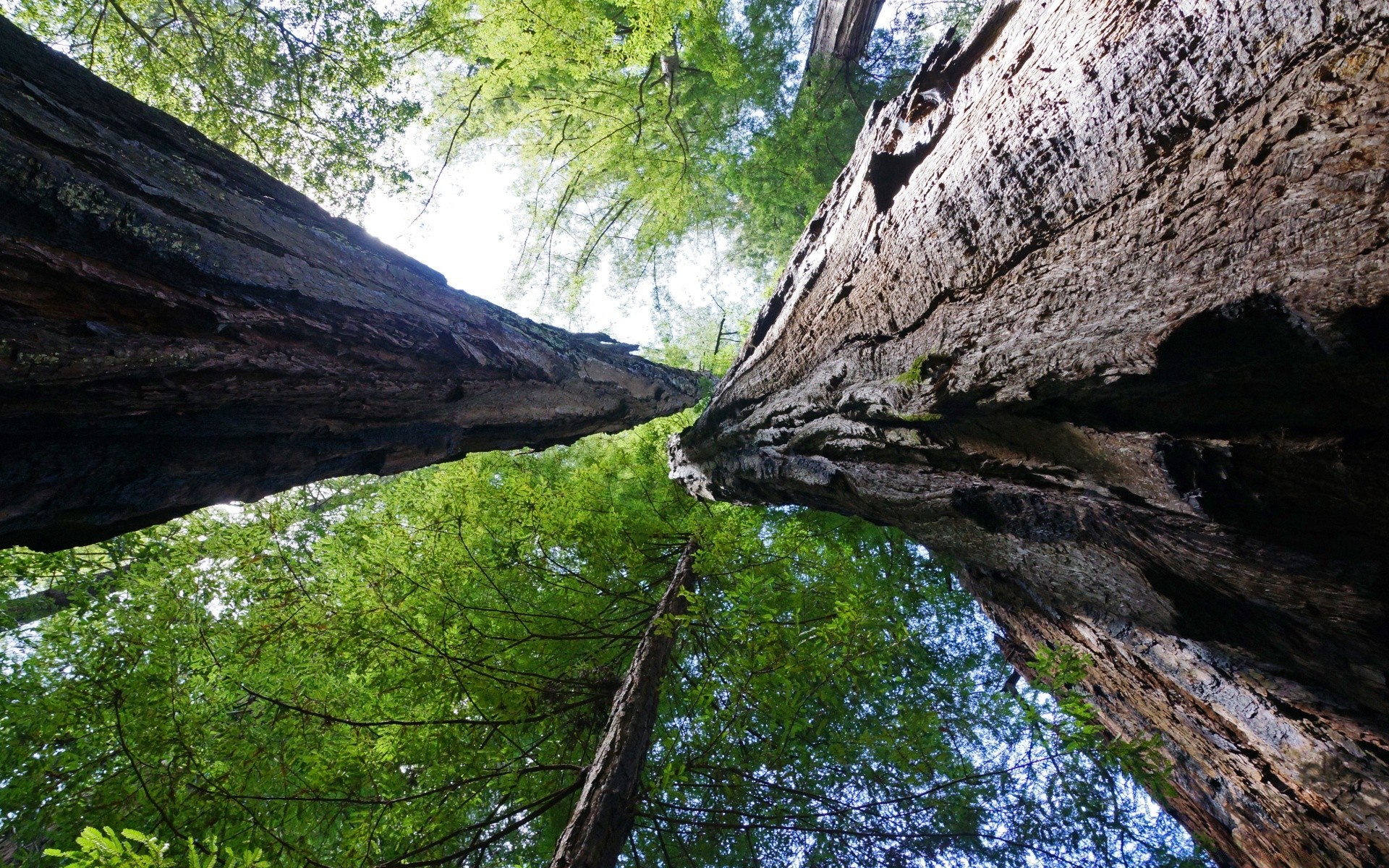 amerika holz natur holz landschaft im freien wasser reisen park umwelt rock tageslicht berge landschaftlich fluss sommer