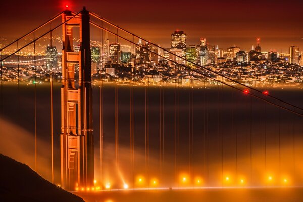 Bridge on the background of the night city