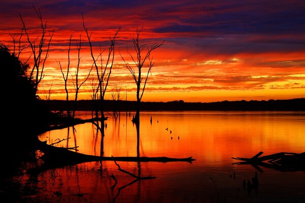 Puesta de sol sobre un río tranquilo