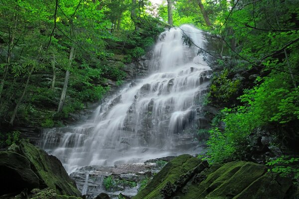 Naturaleza de América: cascada de montaña