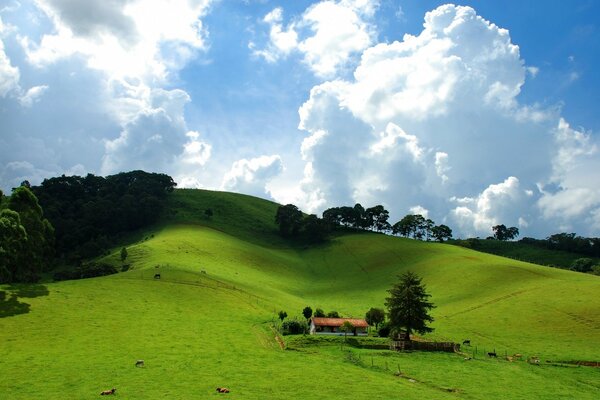 Grüne Hügel am blauen Himmel