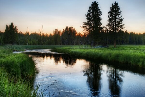 Ein sanfter See. Grüner Wald