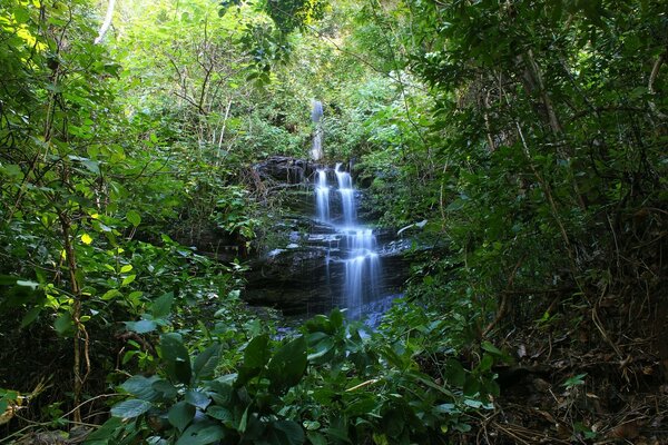 Ein kleiner Wasserfall inmitten des Dschungels