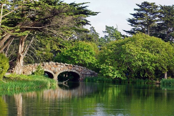 Hermosa naturaleza con árboles, río y puente