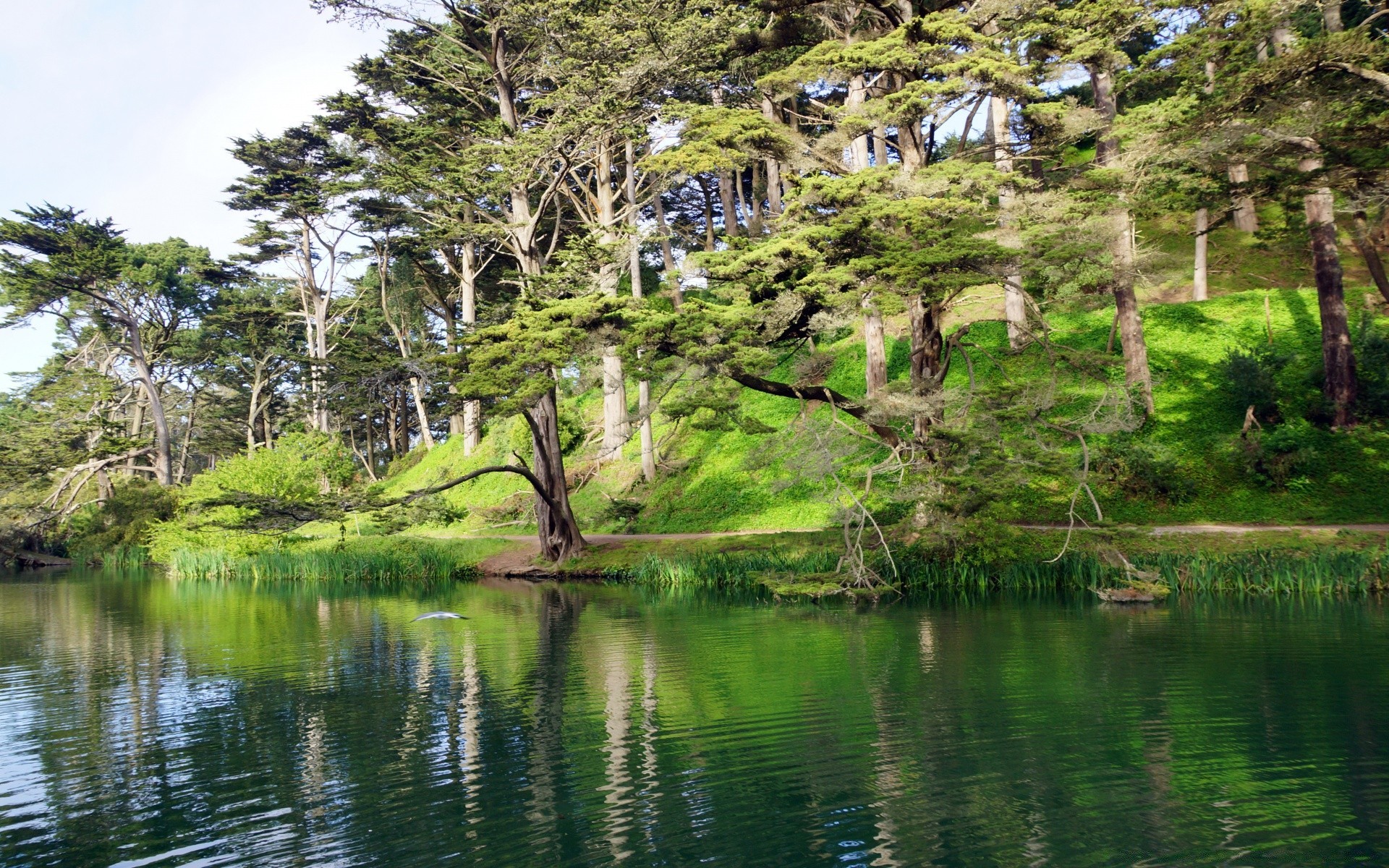 america acqua natura albero paesaggio lago viaggi legno fiume erba estate cielo riflessione foglia all aperto tropicale piscina flora parco bella