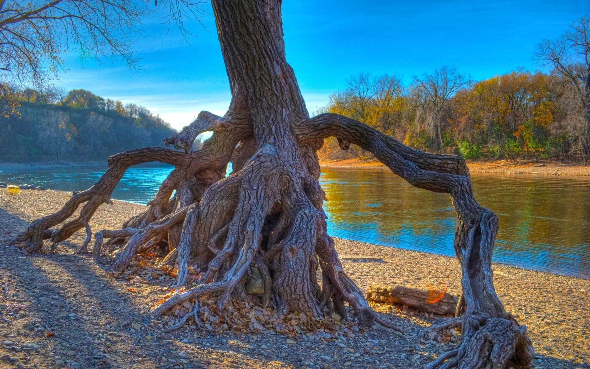 amerika holz wasser natur holz landschaft himmel im freien reisen meer ozean meer