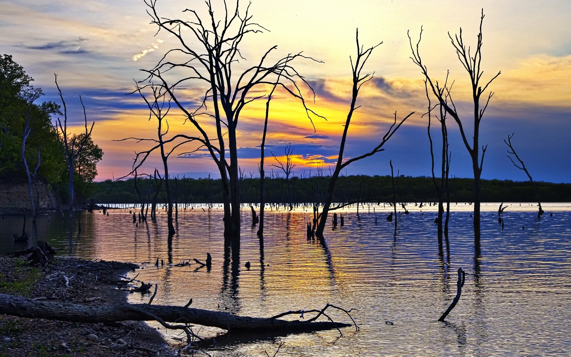 america water nature sunset landscape dawn lake reflection evening sky tree summer dusk sun silhouette outdoors composure