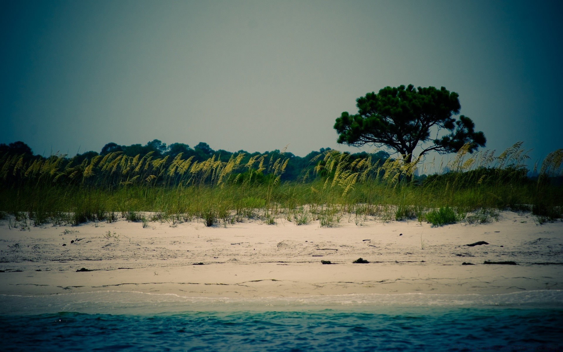 amérique eau coucher de soleil plage nature aube arbre paysage ciel soleil océan mer voyage soirée en plein air été sable lumière beau temps