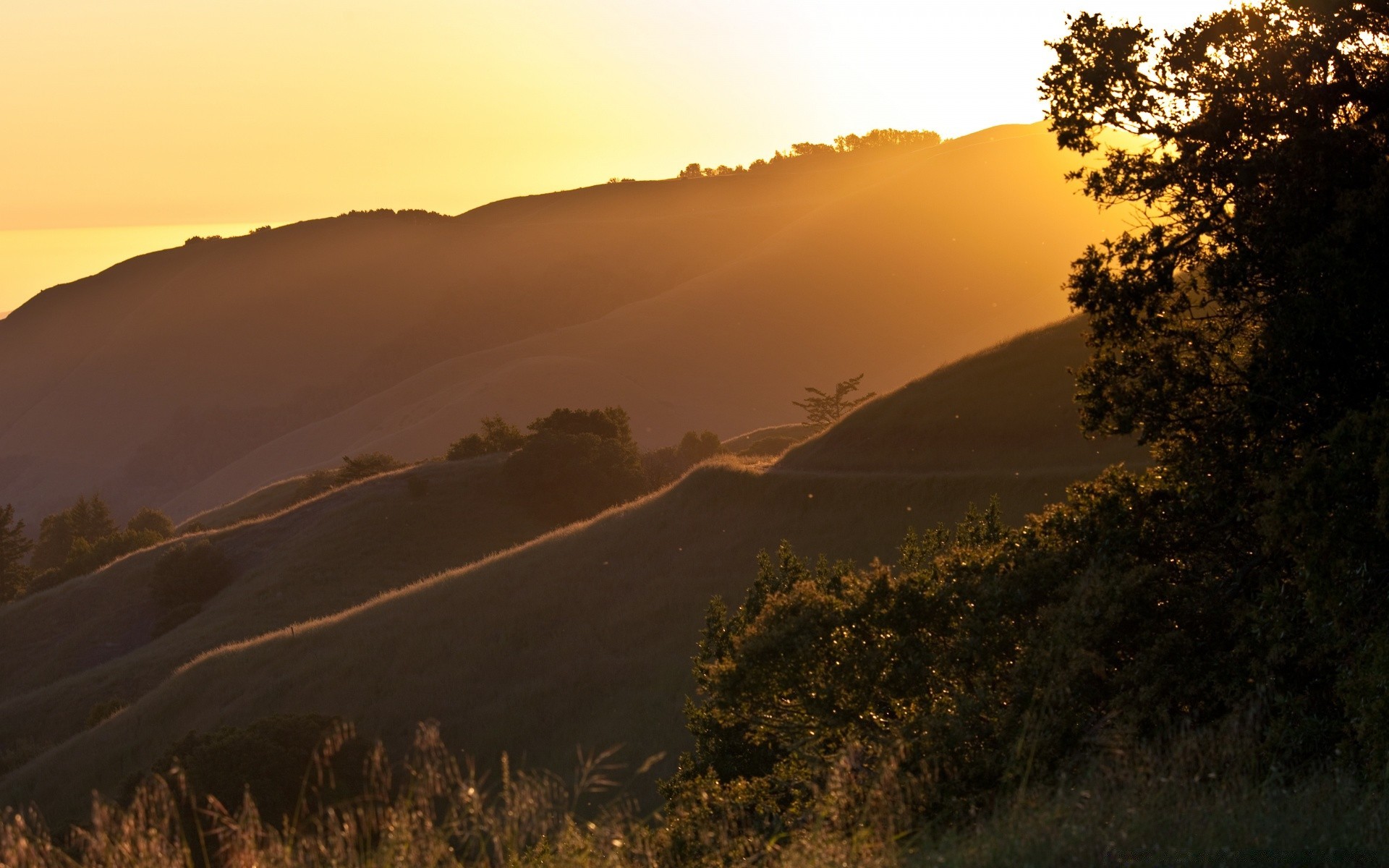 america landscape sunset dawn tree outdoors nature mountain fog sky travel evening daylight backlit light sun hill mist cropland